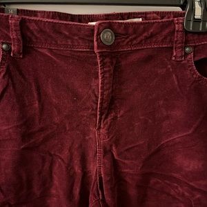 LAUREN CONRAD burgundy corduroys